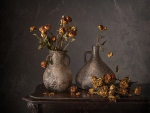 Dried Roses Still Life
