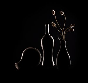 Elegant Still Life Silhouettes