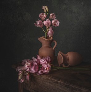 Moody Pink Orchid Still Life by Margareth Perfoncio