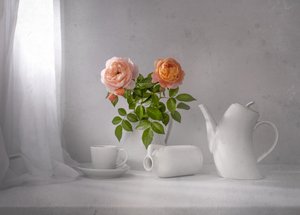 Morning Rose Tea by Margareth Perfoncio