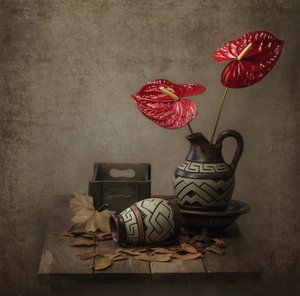 Rustic Anthurium Still Life