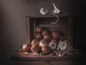Rustic Onions and Garlic