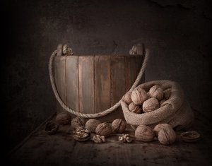 Rustic Walnuts Still Life by Margareth Perfoncio
