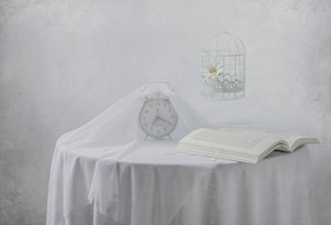 Serene Clock Book Birdcage