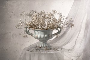 Shabby Chic Floral Still Life
