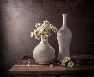 White Daisies Still Life