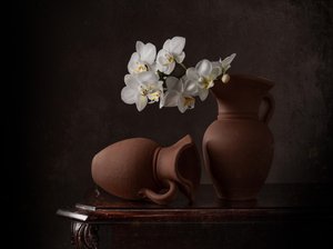 White Orchids Still Life by Margareth Perfoncio