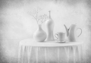 White Still Life Elegance by Margareth Perfoncio