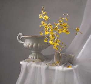 Yellow Orchid Still Life by Margareth Perfoncio