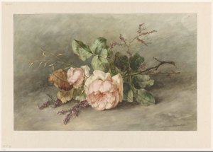 Roses