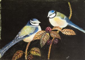 Blue tits having a feast