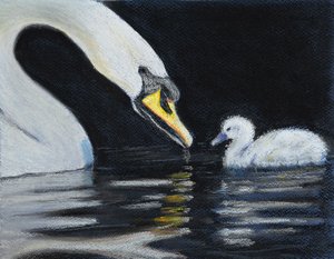 Follow Mummy. by Margo Starkey