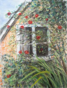 Roses over window
