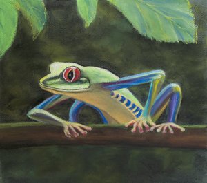 Tree frog.