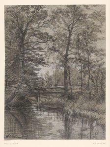Pond in Forest