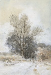 Walker in the Snow at the Edge of a Forest