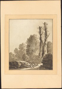 Landscape with Two Trees
