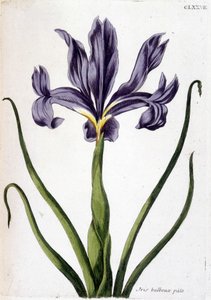 Unknown Image