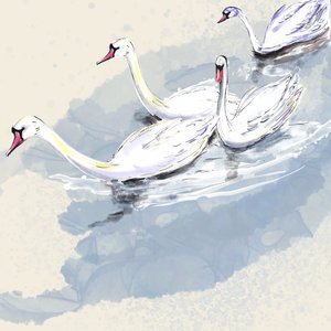 Hyde Park Swans, 2021