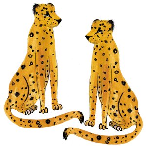 Leopard Pair, 2020