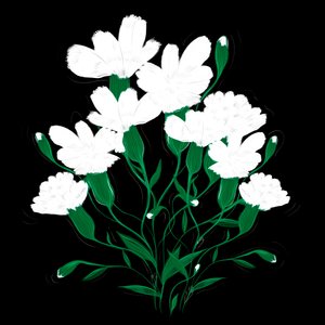 White Carnations, 2020 by Marianna Kulukundis
