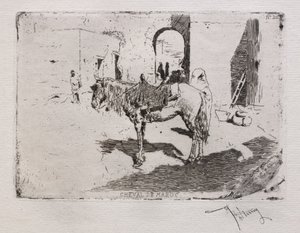 Horse of Morocco