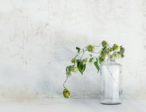 Fresh Hops in Bottle