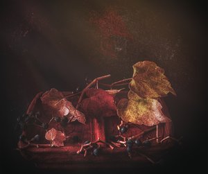 Moody Autumn Leaves