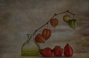 Quiet Autumn Lanterns