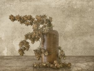 Rustic Hops Still Life