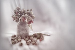 Soft Berry Still Life