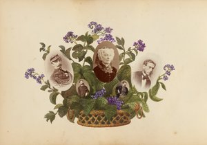 The Madame B Album by Marie Blanche Hennelle Fournier