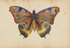 The Madame B Album, 1870s by Marie Blanche Hennelle Fournier