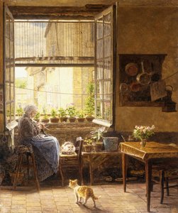 A Quiet Afternoon