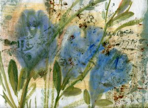 Blue Flowers 2 by Marina Falco