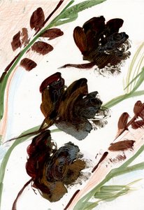 Dry flowers by Marina Falco