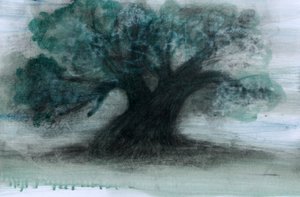 Olive Tree