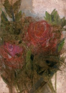 Red Roses, 2022