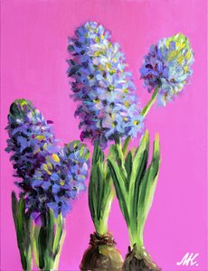 Bright Pink Hyacinths