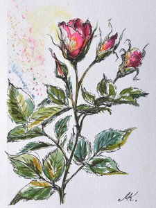 Pink Rose Buds - Ink and Watercolor Botanical Sketch