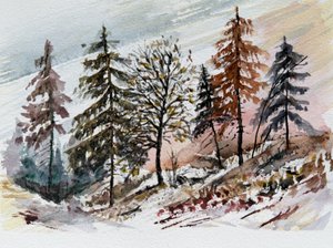 Snowy Forest Dawn