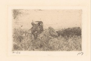 Rider