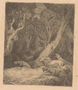 Wild Animals in the Forest