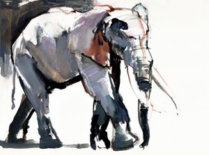 African Elephant by Mark Adlington