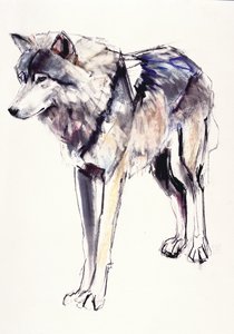Alpha