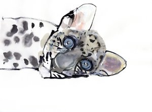 Arabian Leopard, 2008