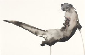 Back Awash (Otter)