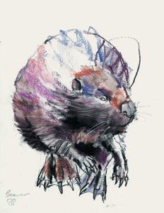 Beaver, 2001