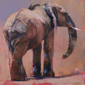 Behind, Loisaba by Mark Adlington