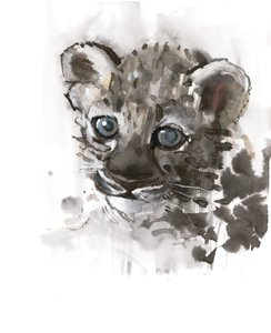 Blue Eyes (Arabian Leopard Cub), 2008